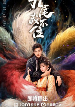 Eternal Love of the Fox