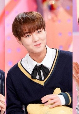 Hello Counselor 341