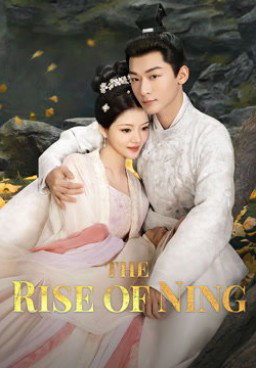 The Rise of Ning