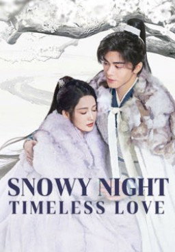 Snowy Night: Timeless Love